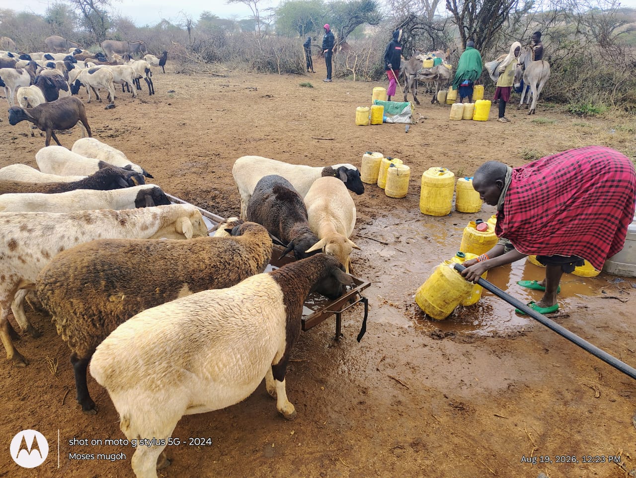 Pastoralist livestock watering trough sustaining sheep, goats, donkeys and cattle